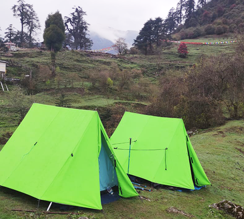 12N 13D Dafeybhir pass and Goechala pass Round trekking